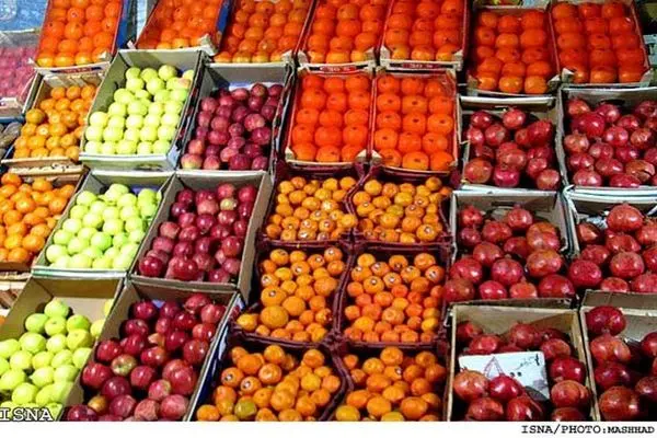 توزیع 550 تُن میوه شب عید در استان مرکزی 