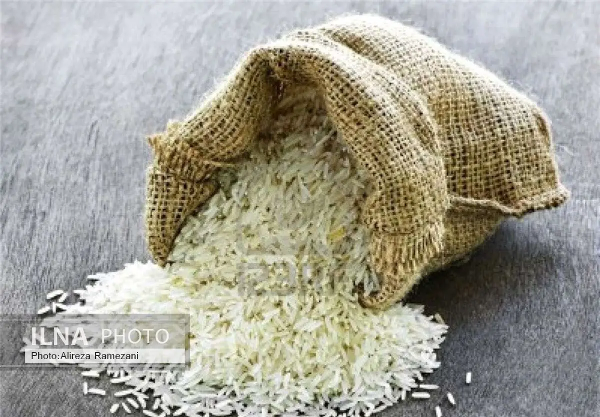 واردات برنج آزاد شد 