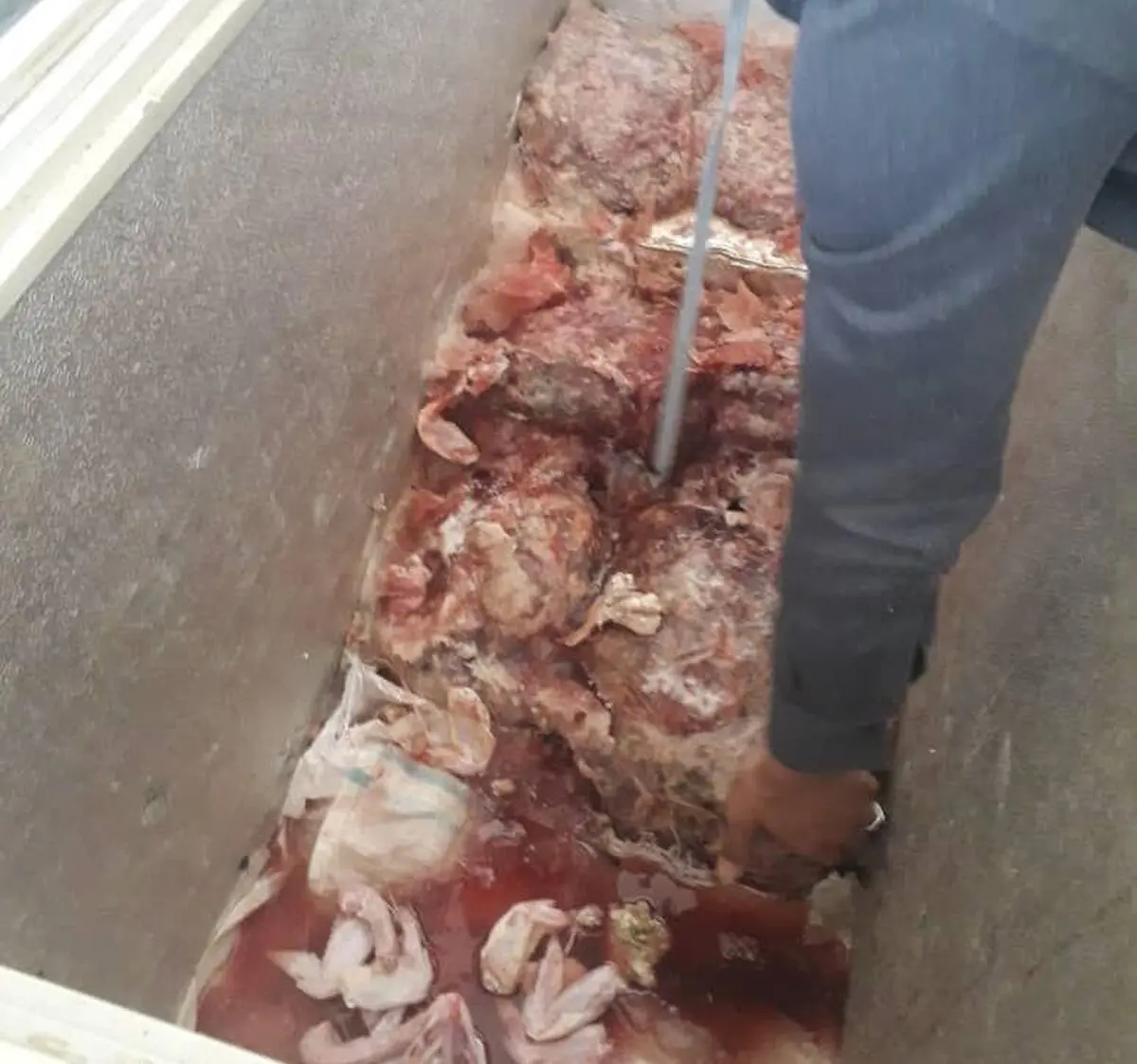 کشف و ضبط ۲۰۰ کیلوگرم گوشت چرخ کرده فاسد از یک رستوران بین راهی در نیشابور