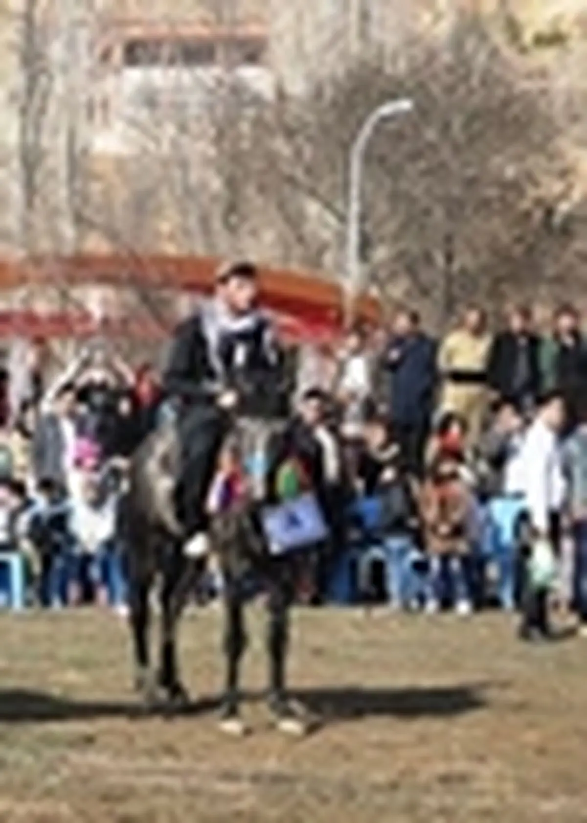 شهرستان بیجار میزبان جشنواره اسب کرد خواهد بود