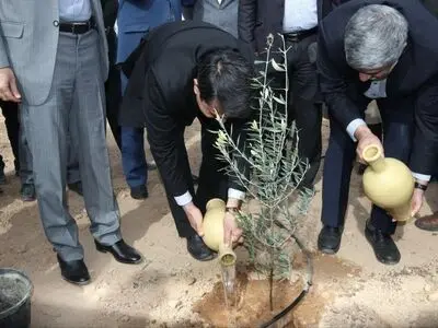 سرانه فضای سبز در یزد، نصف میانگین کشوری است