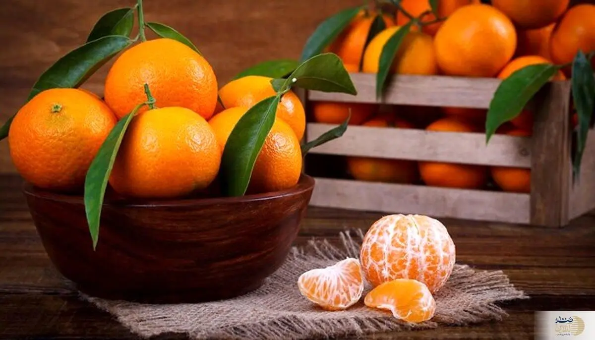 میوه دوست داشتنی که علاج چند بیماری است 