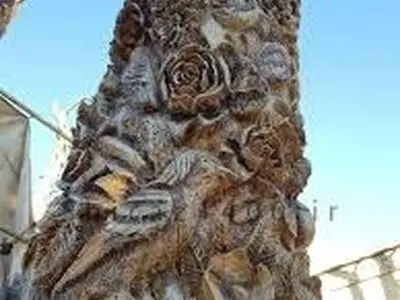 خلاقیت جالب شیرازی‌ها بر روی یک درخت خشکیده