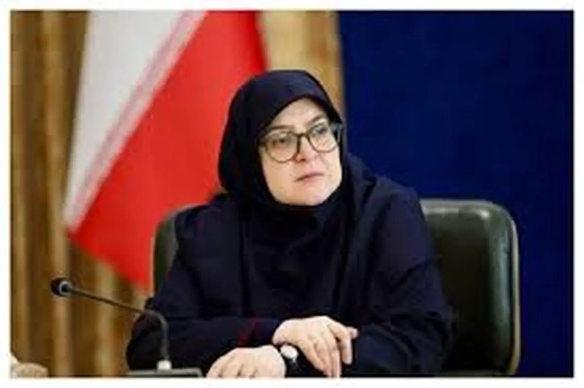 هیچ مشکلی در تامین سوخت نداریم/توضیح درباره روند بازگشت حجاج 