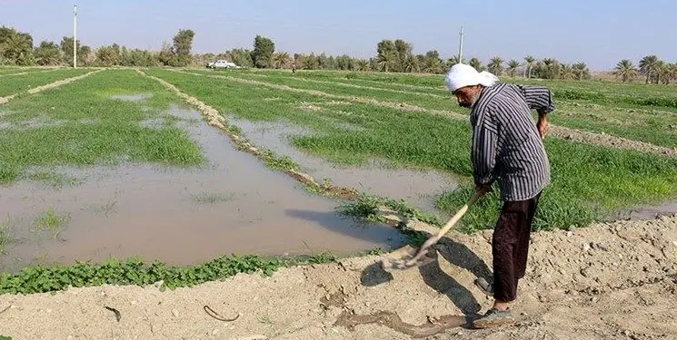 افزایش ۴۳ درصدی حقوق مستمری بگیران صندوق بیمه روستایی خراسان رضوی 