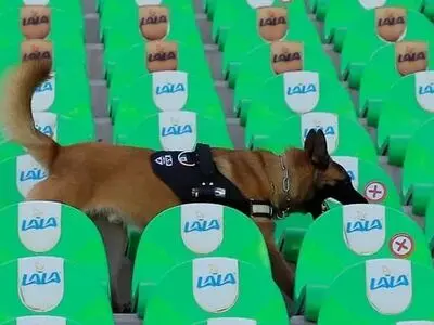 باشگاه خیرونا به دنبال صدور اجازه حضور سگ‌ها در مسابقات لالیگا!