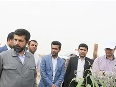 ایجاد اشتغال جدید در خوزستان از طریق کاشت درخت‌و تولید  چوب  
