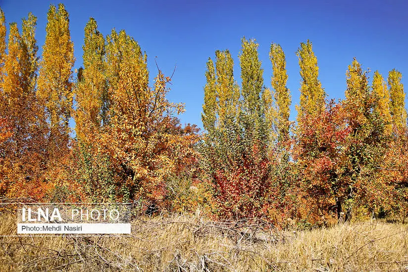  طبیعت پاییزی روستای سرسختی علیا