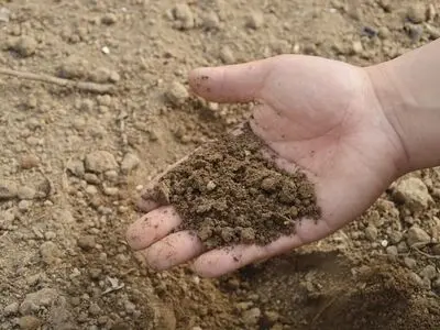 مراسم روز جهانی خاک آذرماه برگزار می شود