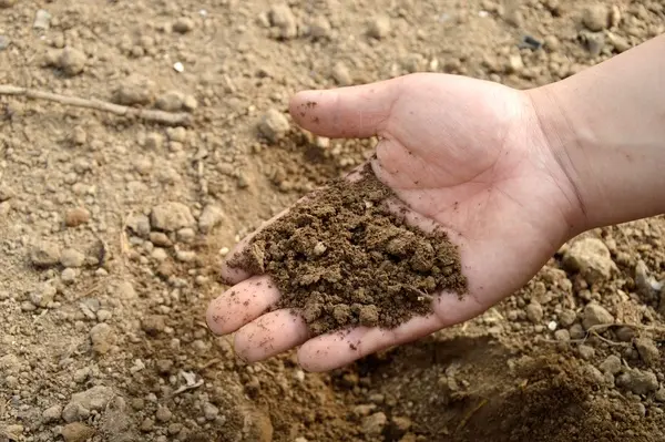  بحران خاک در بیش از ۸۰ دشت فارس  