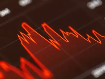 اولین مرکز عرضه گزارشات بازار ایران راه‌اندازی شد
