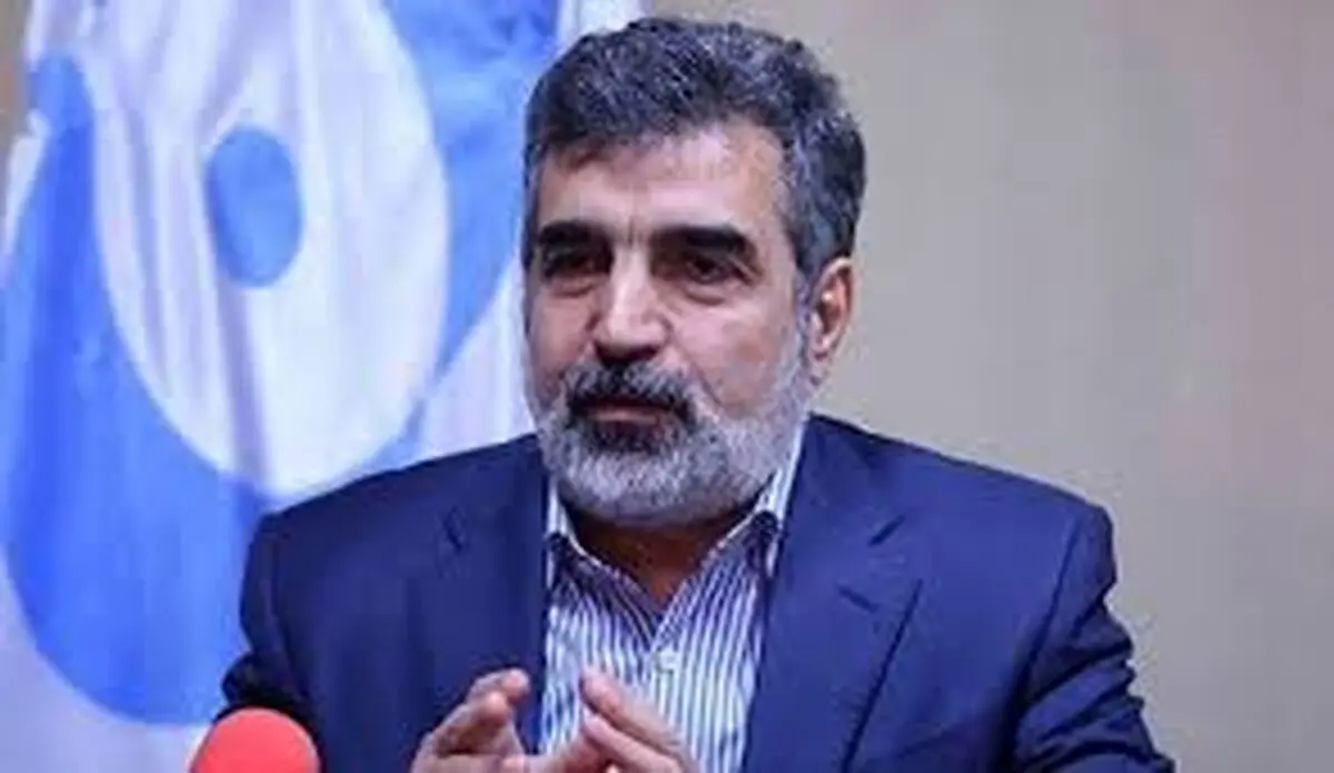 آژانس، غنی‌سازی ۴.۵ درصدی ایران را تأیید کرد/ وجود تاسیسات هسته ای در یک سوم استان‌ها