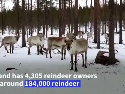 asdasd