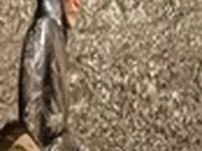 نمایش فیلم تحسین شده «تابور» در خانه هنرمندان