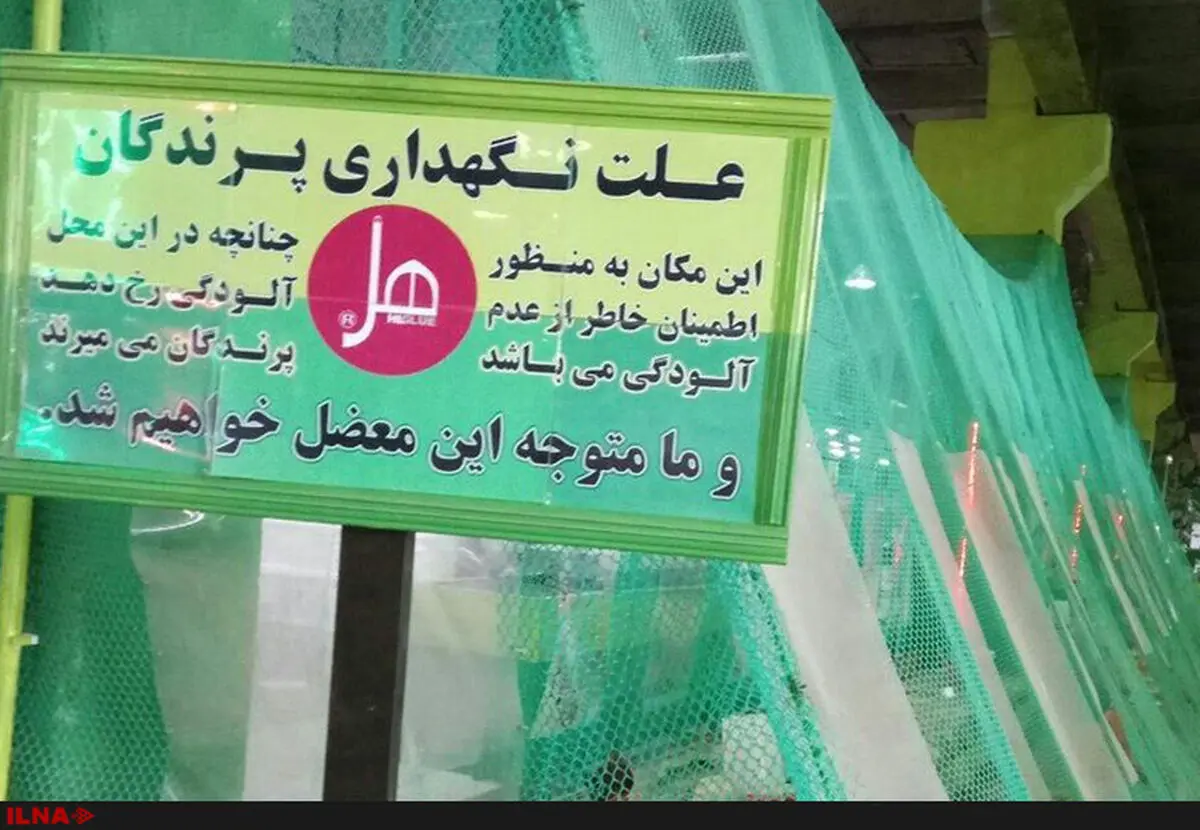 استفاده از پرندگان به عنوان ابزار سنجش آلودگی هوا در برخی کارگاه‌ها
