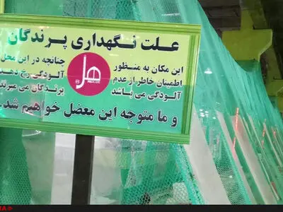 استفاده از پرندگان به عنوان ابزار سنجش آلودگی هوا در برخی کارگاه‌ها