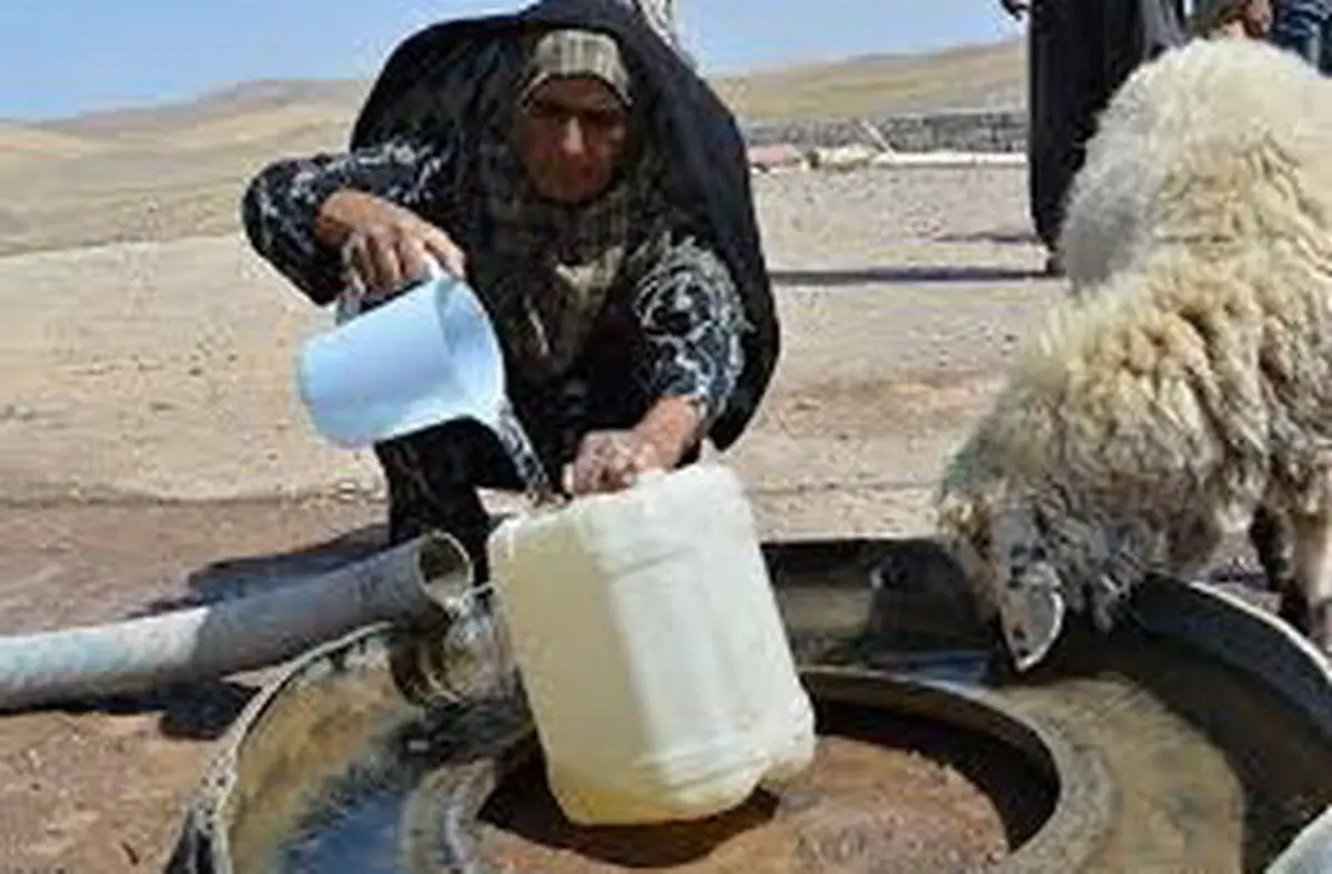 20  درصد عشایر گچساران کوچ نکردند/ بحران در زندگی عشایری در صورت ادامه خشکسالی 
