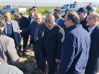تعدادی از معاونان وزیر و اعضای کمیسیون کشاورزی مجلس از مزارع شمالی استان بازدید کردند