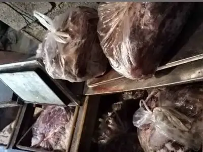کشف ۳۷۸ کیلوگرم گوشت گراز در شهرستان ساری