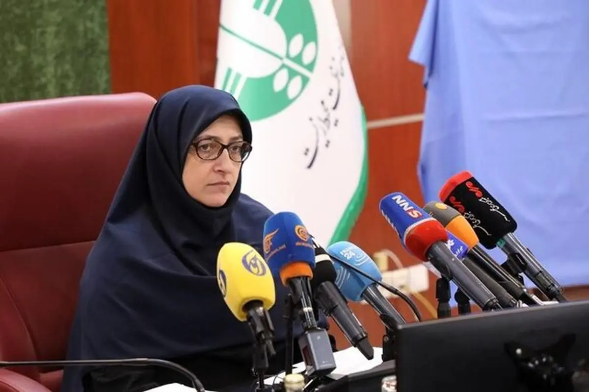 صدور مجوز محیط زیستی برای بیش از ۳۷۰۰ دستگاه خودرو وارداتی