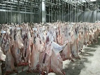 با کشتارگاه های غیرمجاز  برخورد قانونی می شود