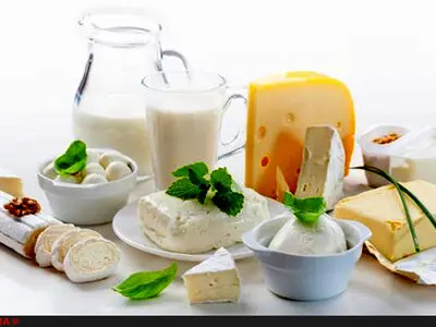 اولین محموله لبنیات در روسیه ترخیص شد/ آمریکای جنوبی رقیب جدی پنیر ایران