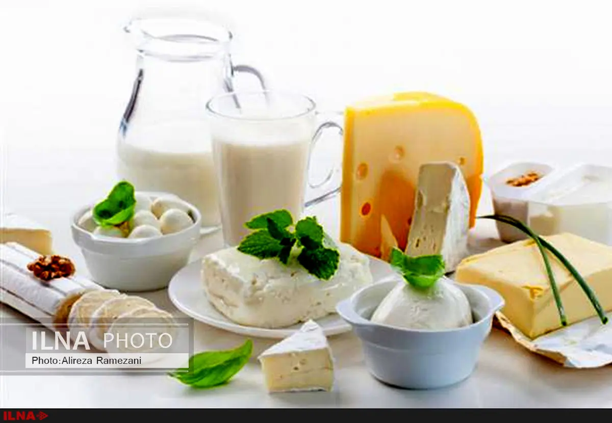 اولین محموله لبنیات در روسیه ترخیص شد/ آمریکای جنوبی رقیب جدی پنیر ایران