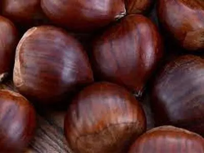 معجزه شاه بلوط در سلامت عروق