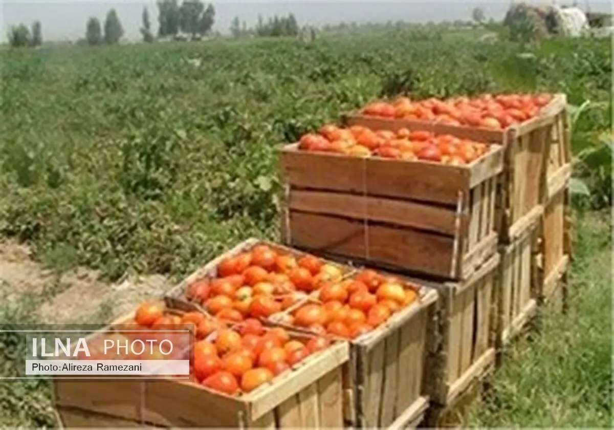بفرمایید سم!
