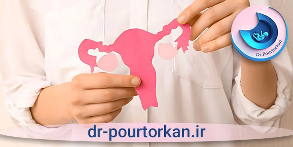 بهترین مرکز عکس رنگی رحم بدون درد و بیهوشی؛ تجربه‌ای متفاوت در تصویربرداری زنان

