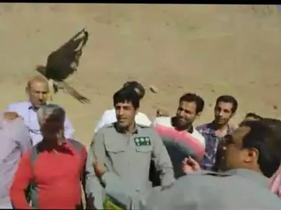 یک بهله دلیجه در ارتفاعات پیغمبرکوه آبیک رهاسازی شد