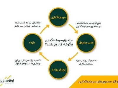 لوتوس؛ همراهی قابل اتکا برای سرمایه‌گذاری