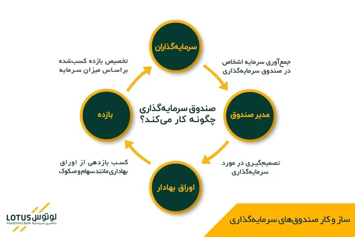 لوتوس؛ همراهی قابل اتکا برای سرمایه‌گذاری