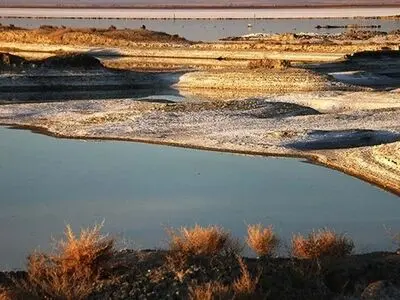 تالاب میقان اراک در حال نابودی است 