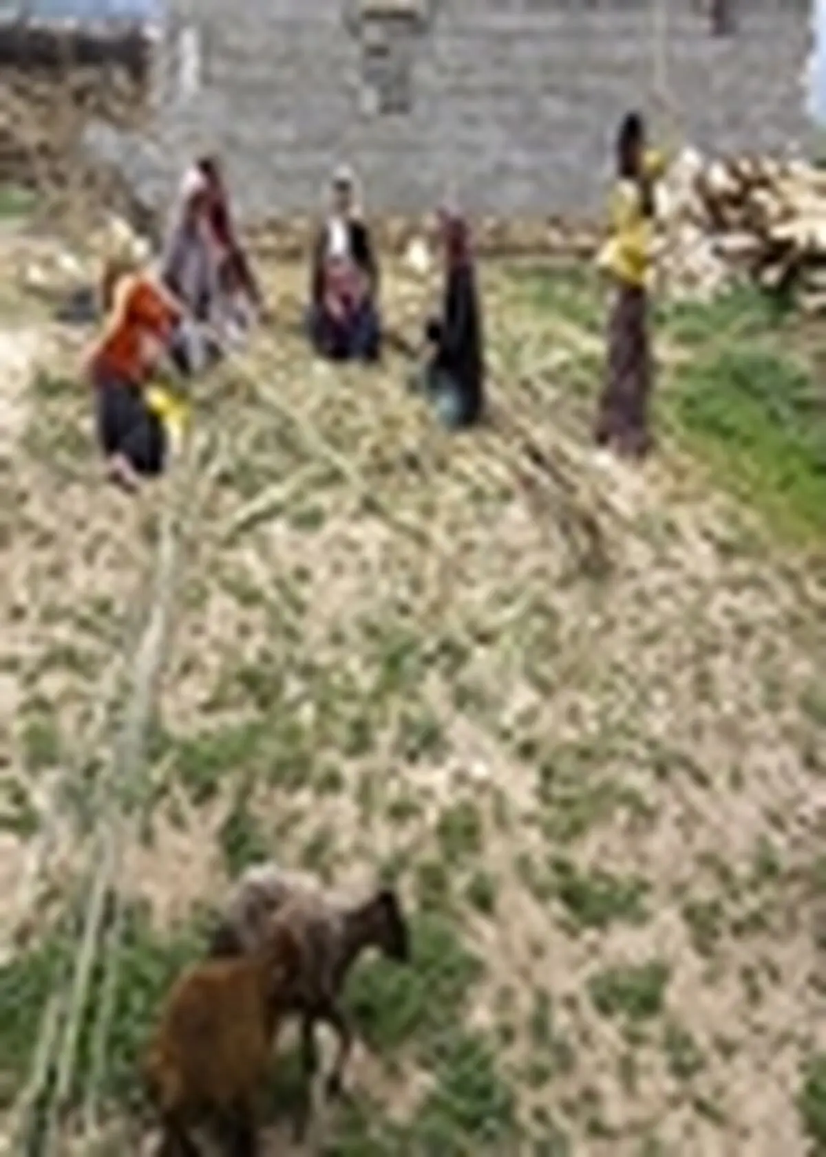 افتتاح راه دسترسی کانون توسعه عشایری سگر شهرستان دالاهو