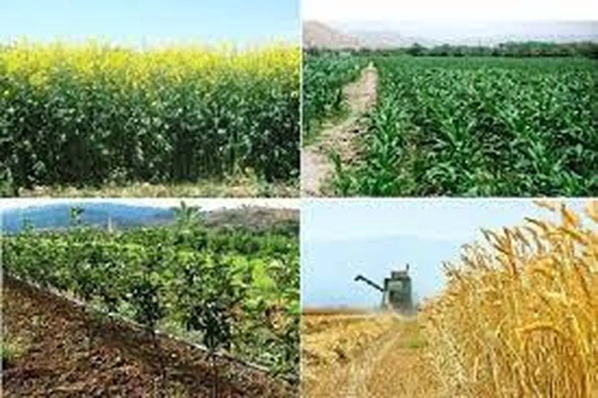 افتتاح ۸۱ طرح کشاورزی در همدان طی سال‌جاری 