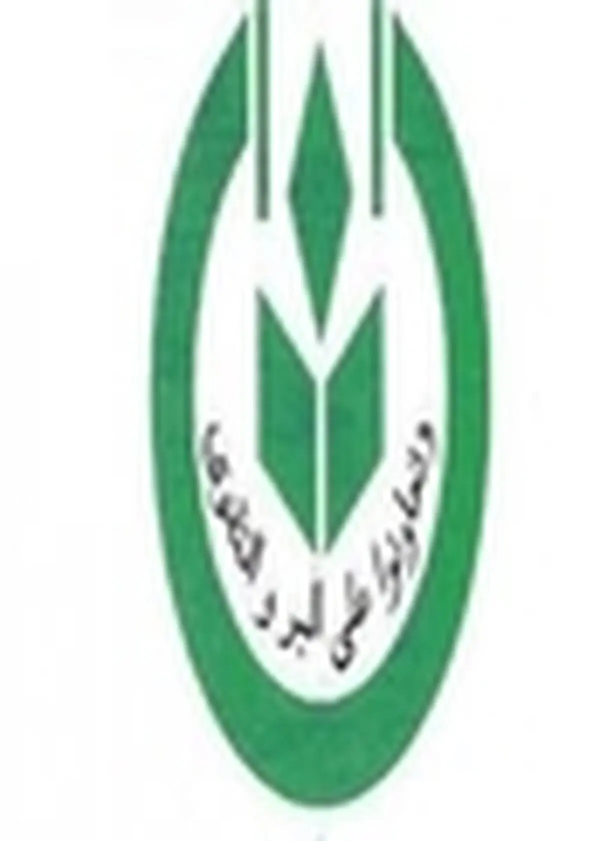 ضرورت گسترش برگزاری کارگاه آموزشی تغذیه گیاهی در زراعت برنج گیلان