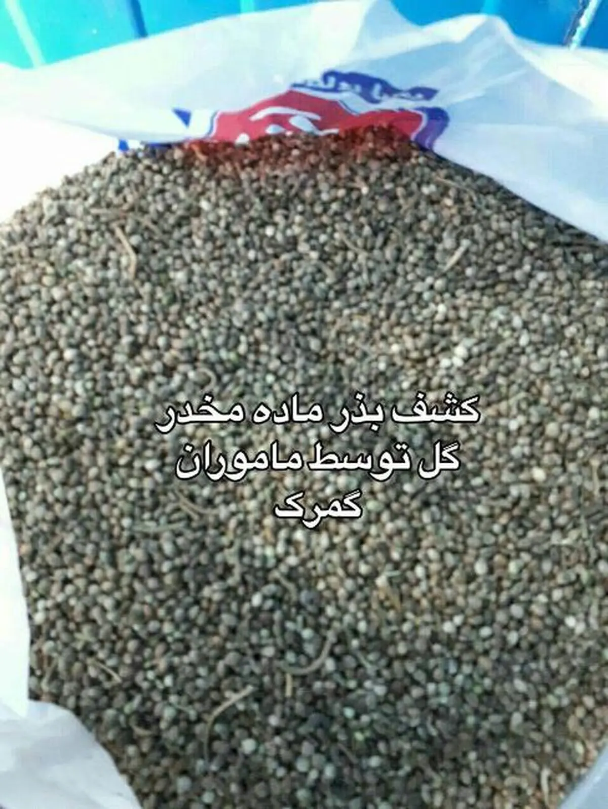 کشف 5 کیلو گرم بذر ماده مخدر گل از سپر کامیون توسط ماموران گمرک
