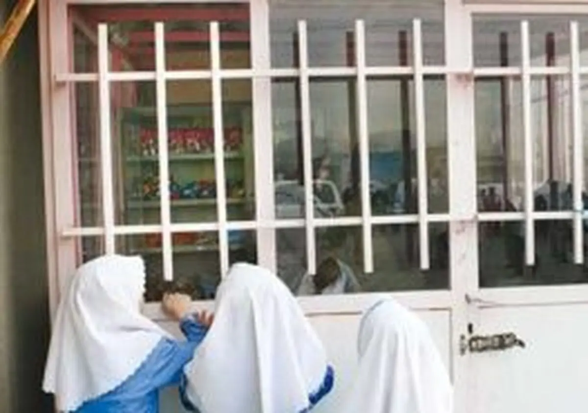 عرضه محصولات دارای پالم در مدارس‎ ‎ممنوع می‌شود