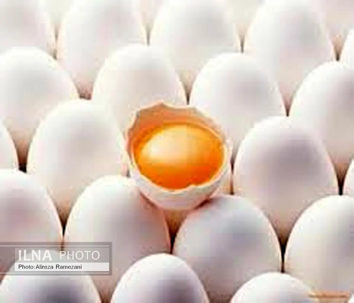 افزایش 20 درصدی صادرات تخم مرغ در شش ماهه اول امسال
