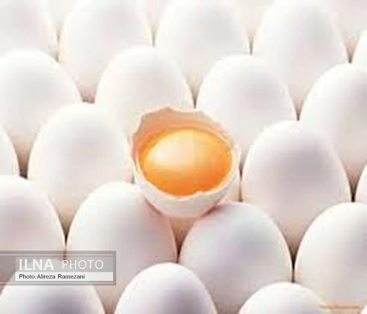 افزایش 20 درصدی صادرات تخم مرغ در شش ماهه اول امسال