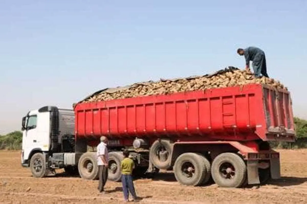 کشاورزان گلستانی از ناوگان شرکت های حمل و نقل مجاز در گلستان استفاده کنند