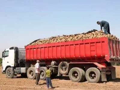 کشاورزان گلستانی از ناوگان شرکت های حمل و نقل مجاز در گلستان استفاده کنند