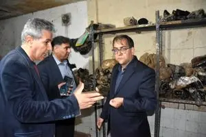 روند جبران خسارات سیل جهرم را با جدیت پیگیری می‌کنیم