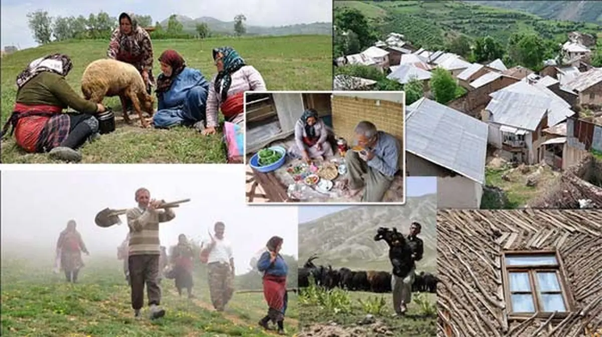 مشارکت روستاییان در اقتصاد زمینه توسعه روستاها را فراهم می‌کند