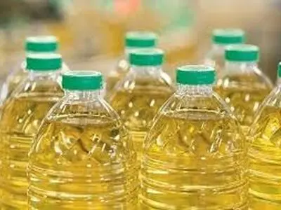 مصرف ماهانه روغن درگلستان بیش از ۳ هزار تن است