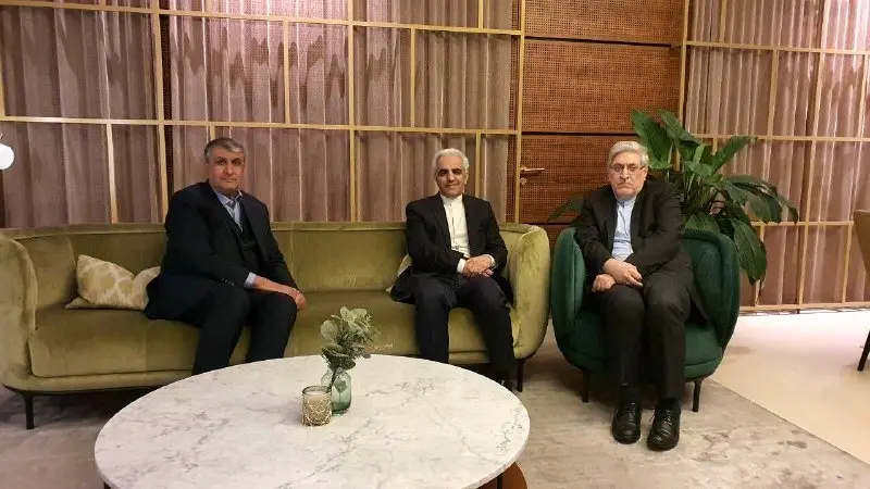 رئیس سازمان انرژی اتمی وارد وین شد
