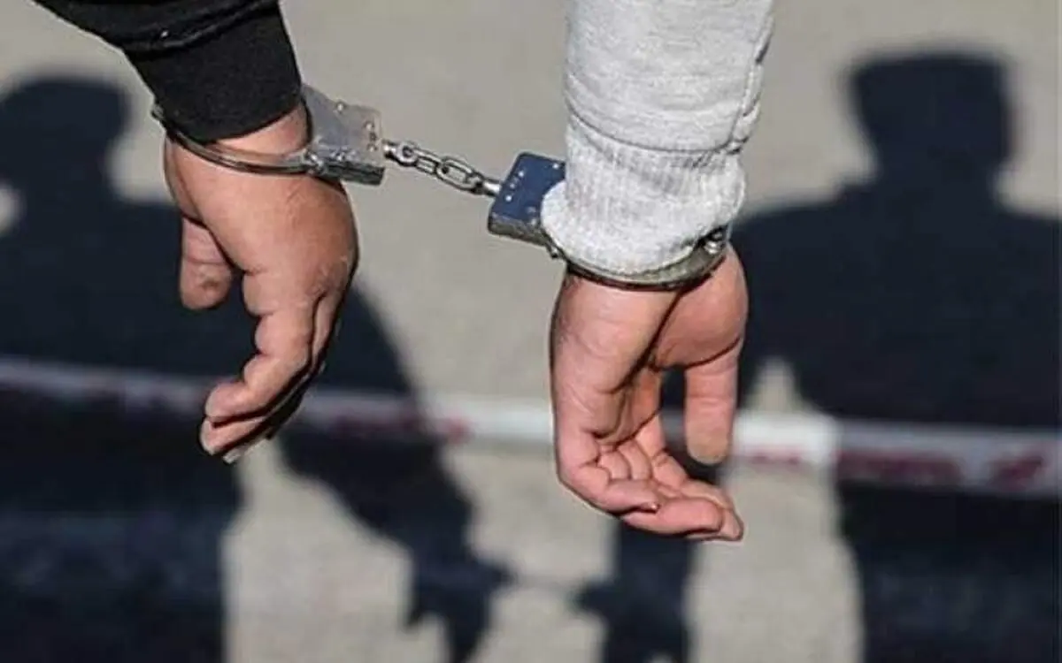 افزایش ۷۳ درصدی دستگیری سارقان در تربت‌ جام
