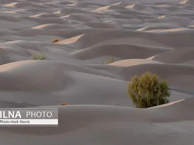 نجات ۳ گمشده در کویر آرادان