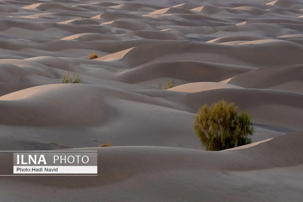 نجات ۳ گمشده در کویر آرادان